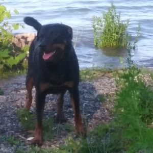 Meet your Posher, Bev